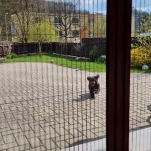 04_Plisé dveřní síť_Jackwest